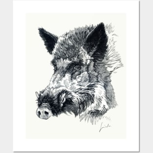 Wild boar head Posters and Art